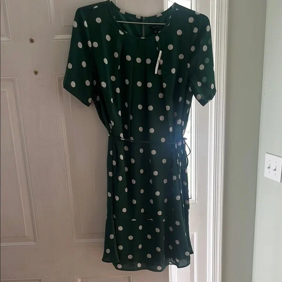 ann taylor green polka dot dress Gingham Print Maxi Dress main image 0